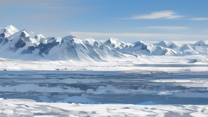 The refrigeration industry is showing three major new trends: localization, intelligentization, and